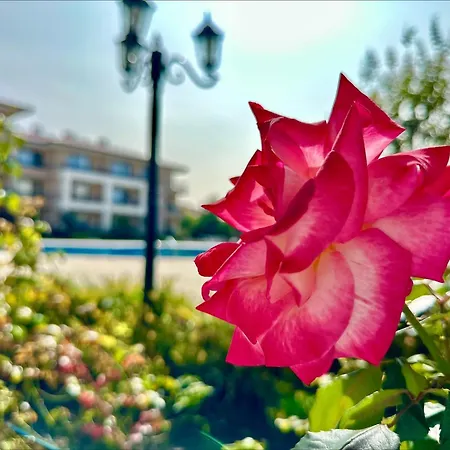 Apartment Menada Sea Dreams Sveti Vlas