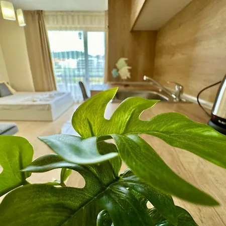 Menada Sea Dreams アパート スヴェティ・ヴラス