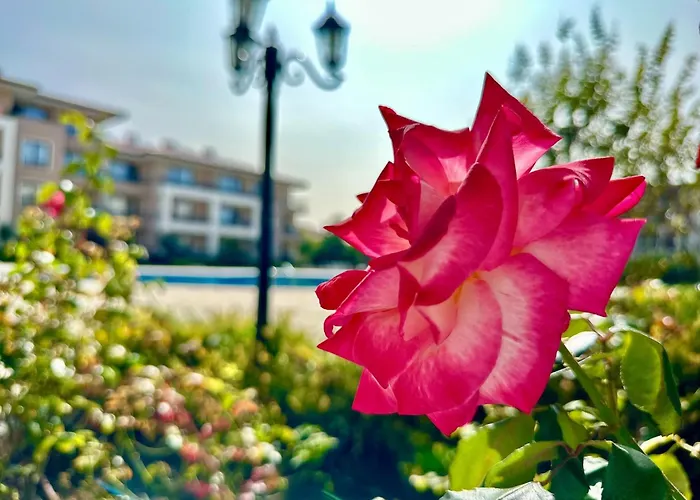 Apartmán Menada Sea Dreams Sveti Vlas